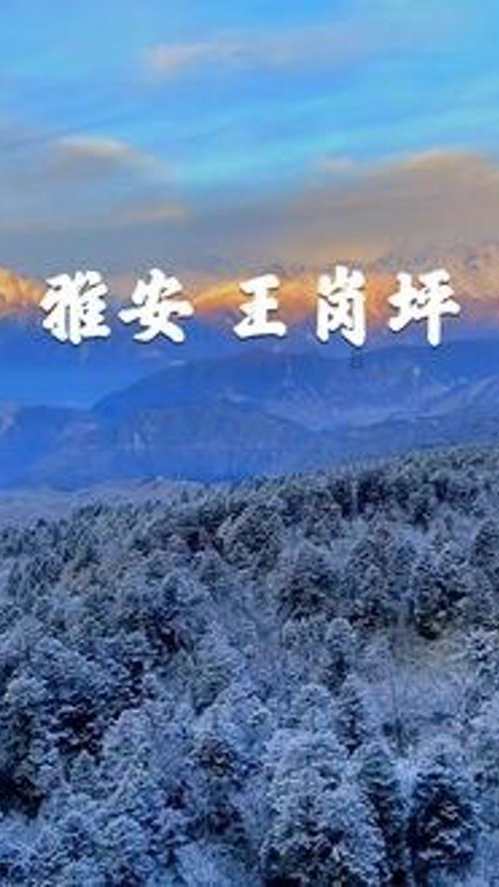 兔子武士大冒险