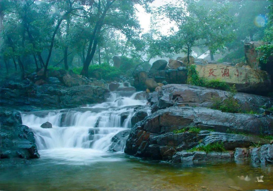 救援甜蜜熊