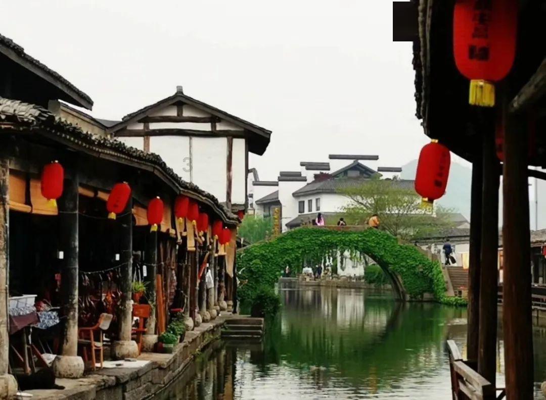 植物大战僵尸21