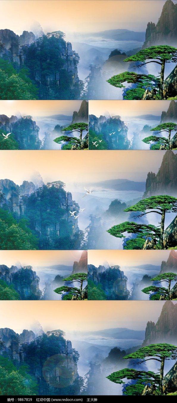 天下HD